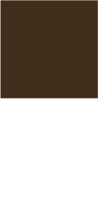 couleur marron