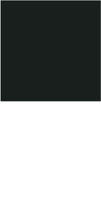 couleur noire