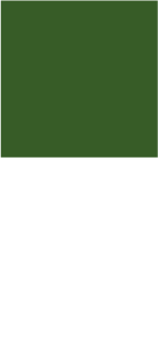 couleur verte